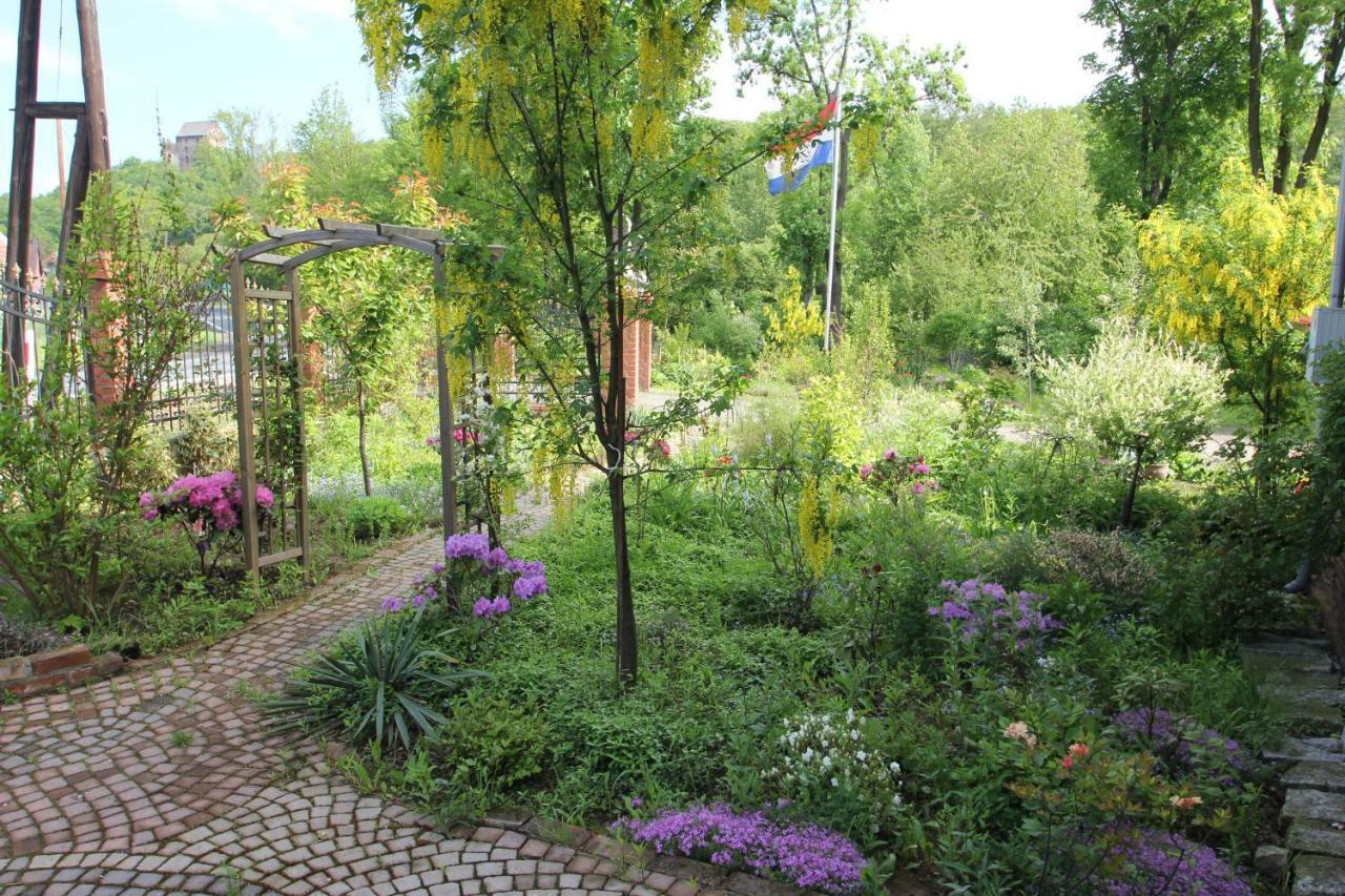 Villa Oranje Bolkow Eksteriør bilde